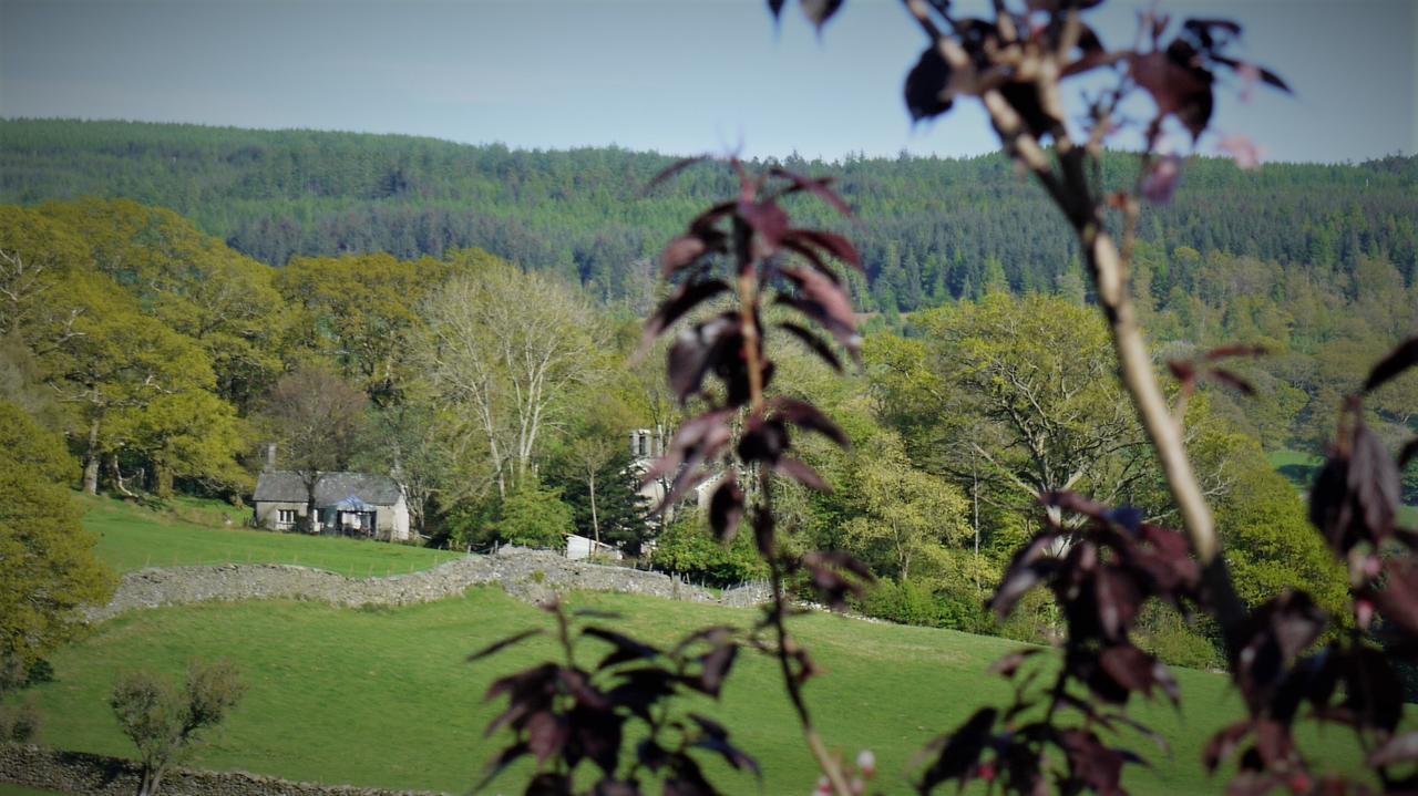 Shepherds Bridge B&B コニストン エクステリア 写真